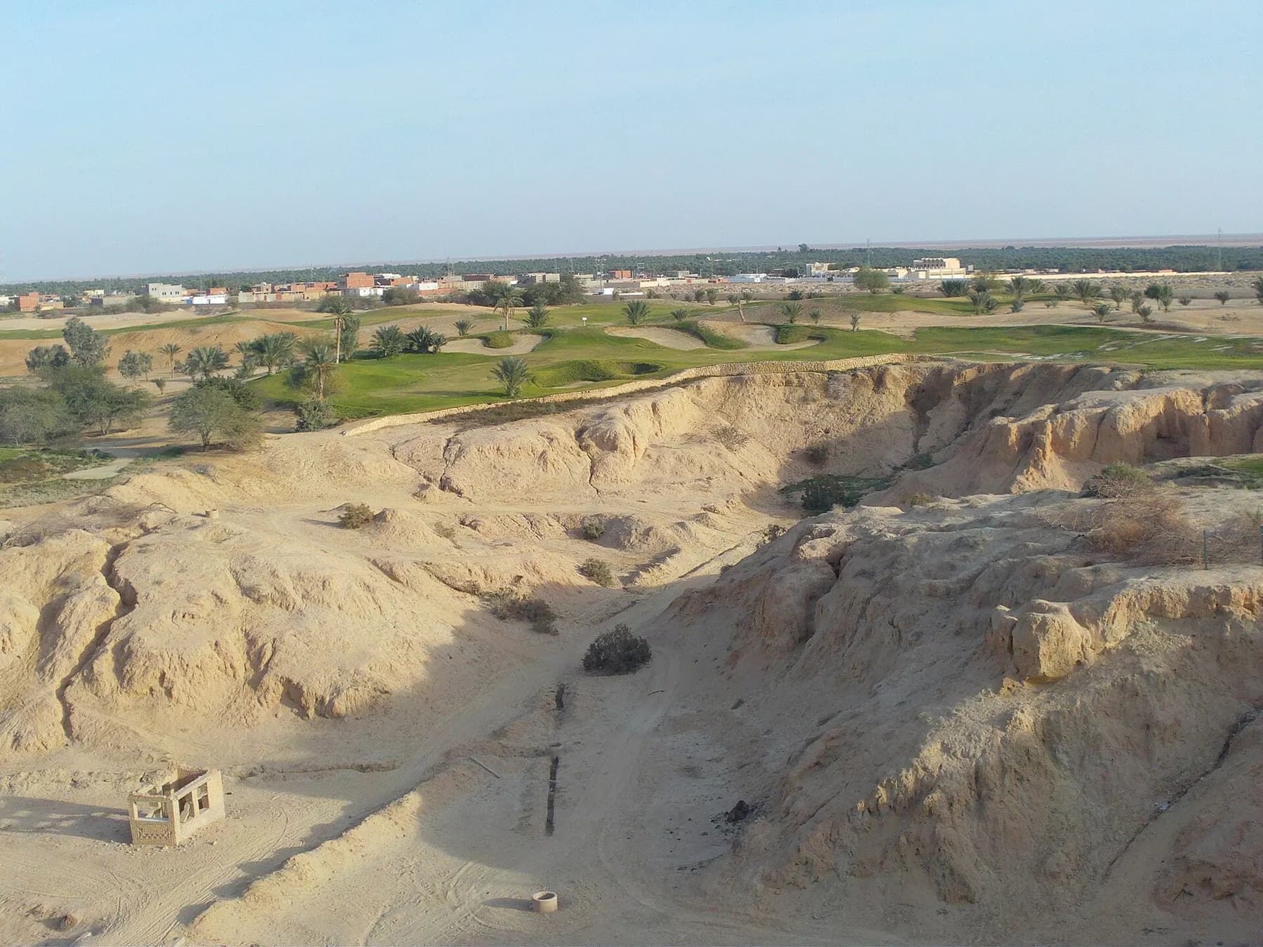 Palmeraie et reliefs ocre près de Tozeur